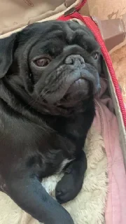 🤩