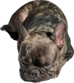 😴