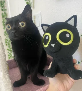 😐