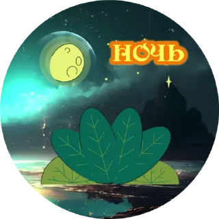 🌙