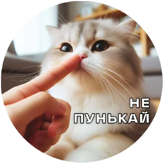 👃