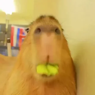 😐