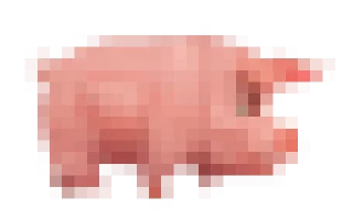 🐖