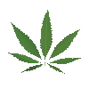 Weed Cult
