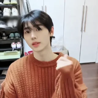 🐾