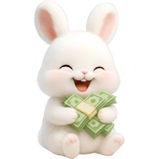 💸
