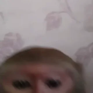 🤕