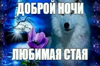 🐺