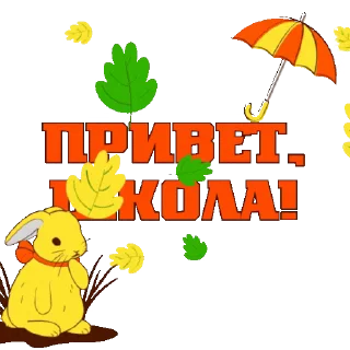 🍁