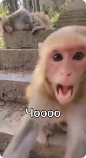 😮