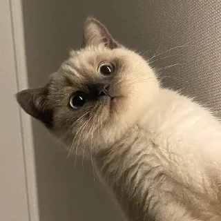 😳