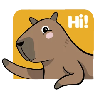 👋