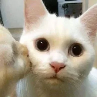🤯