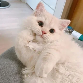 🤓