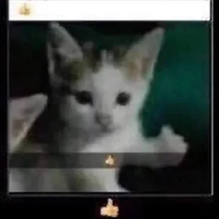 🎲
