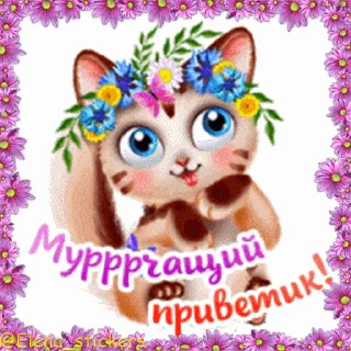 😺