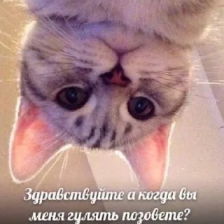 🤔
