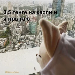 🏙️
