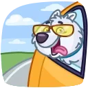 🚗