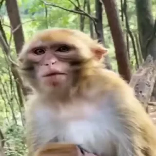 🤬