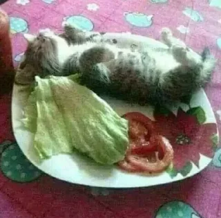 🦴