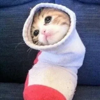 🧦