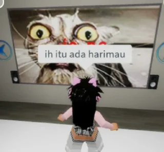 😹