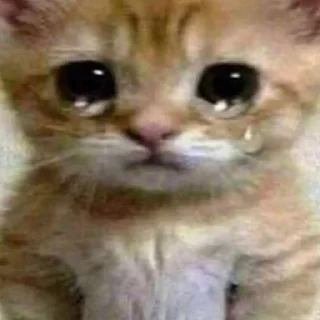 😅