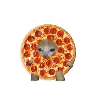 🍕