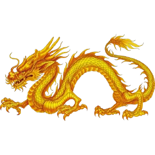 🐲