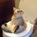 🚽