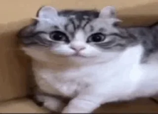 🙂