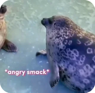 🦭