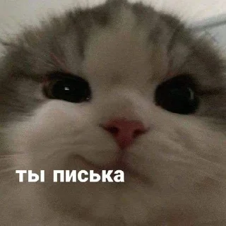 😗