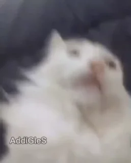 😳