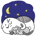 🌜