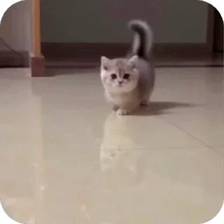 🤩