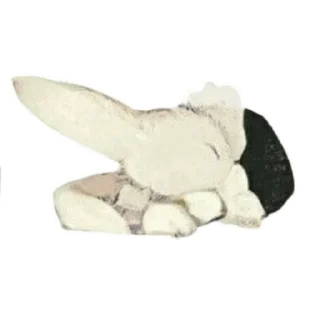 😴