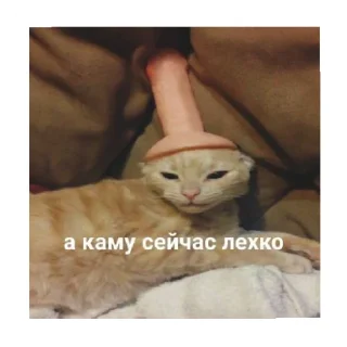 😅