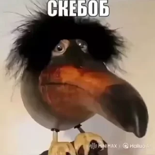 👴