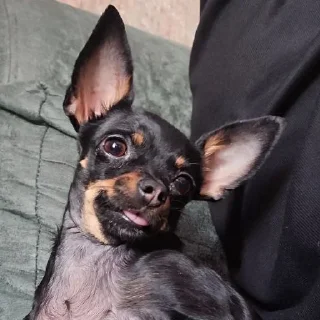 😛