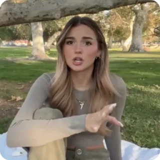 🐢