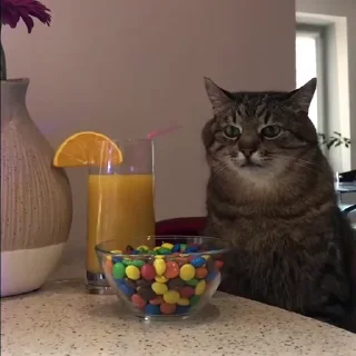 🍹
