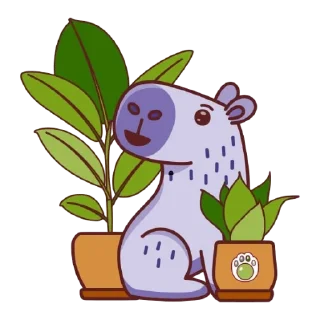 🌱