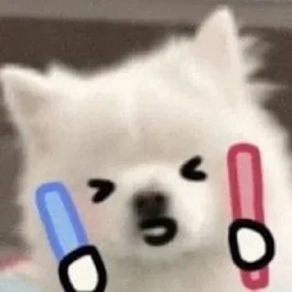 💪