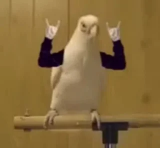 🤘