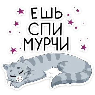 😴