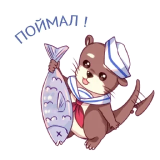 🐟