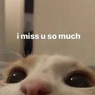 🥺