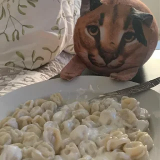 🥟